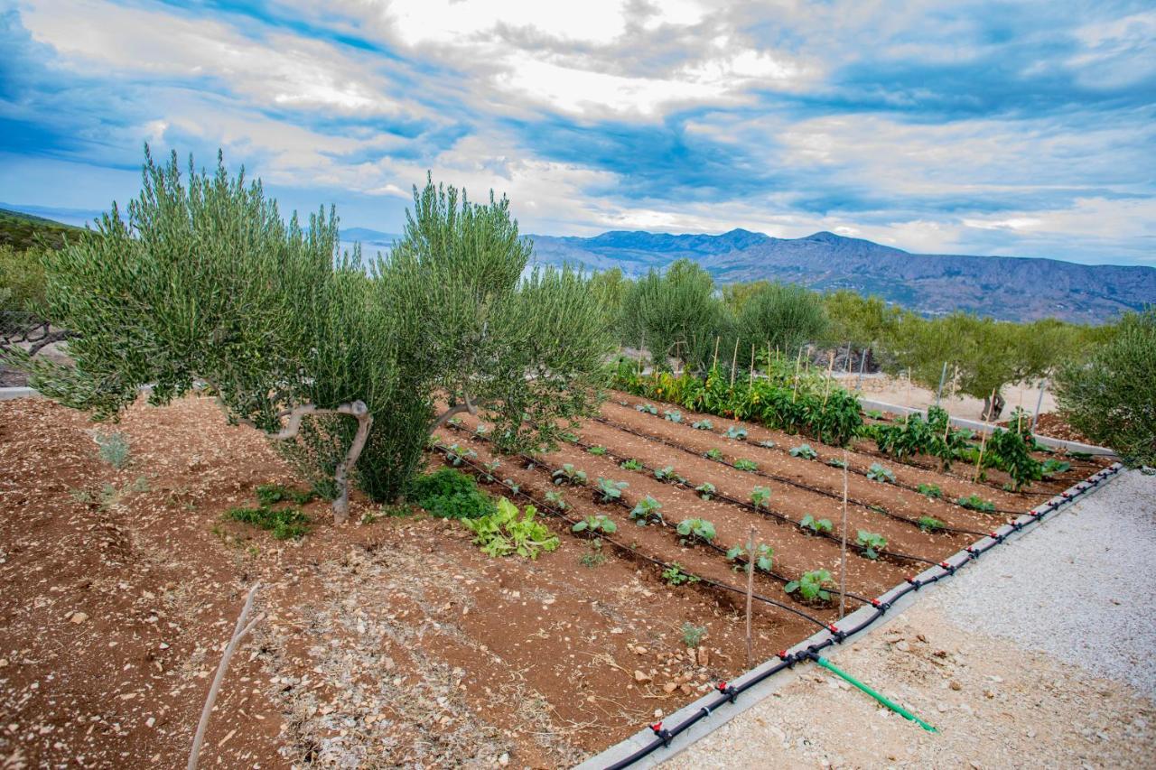 Opg Villa Meri بوتشيتشا المظهر الخارجي الصورة